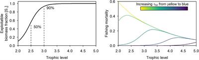 Fishing Without a Trace? Assessing the Balanced Harvest Approach Using EcoTroph